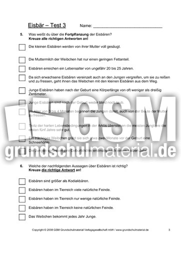 Eisbär-Test-Seite-3.pdf